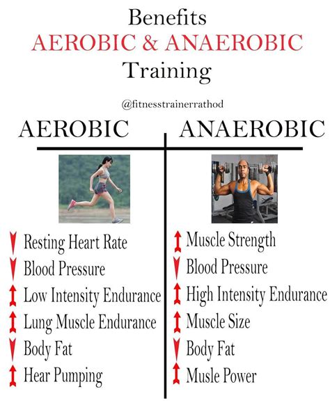 What are the benefits of Aerobic Exercise And Anaerobic Exercise ...