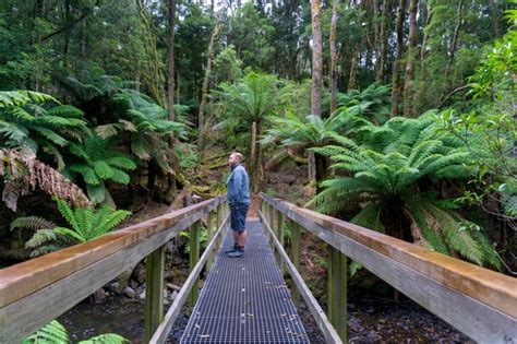 The Ultimate Guide to the Tarkine Drive in Tasmania, Australia ...