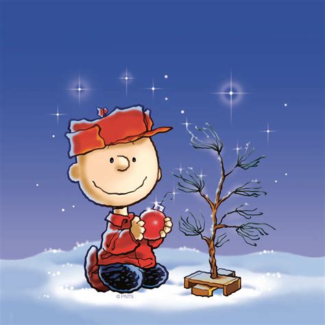 Charlie Brown Christmas Tree Wallpapers - Wallpaper Cave