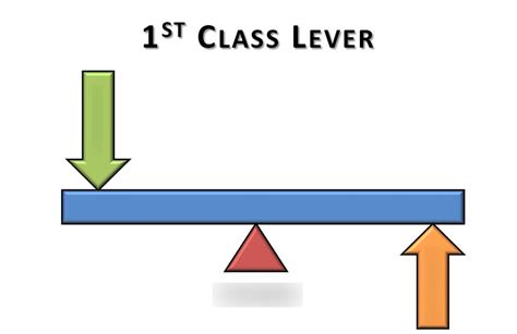 First Class Lever Diagram | Quizlet