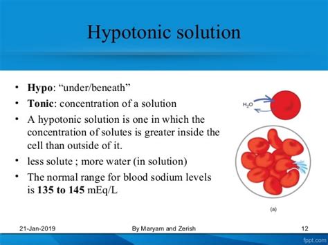 What Is A Hypotonic Definition And Hypotonic Solution? Best Examples ...