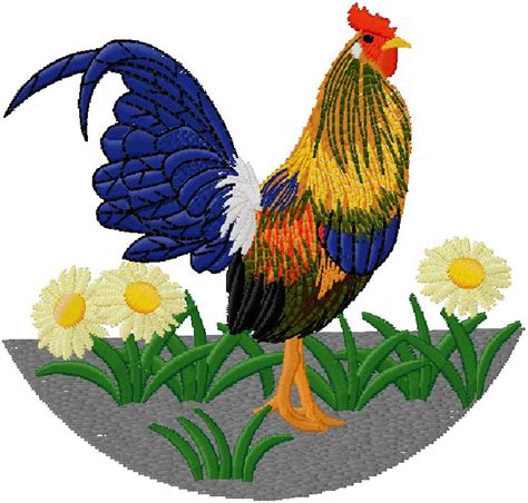 Rooster embroidery design – free embroidery design