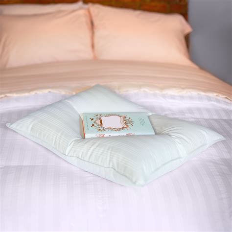 DOWNLITE Extra Soft Down Pillow - Great for Stomach Sleepers Pillow ...