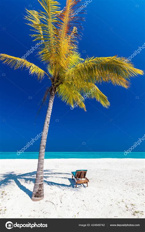 Tropical Beach Maldives Palm Trees Vibrant Inviting Lagoon Stock Photo ...