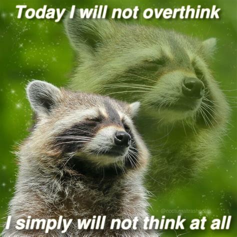 two raccoons looking at each other with the caption today i will not ...