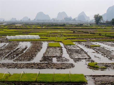 Red River Delta Region – Northern Vietnam