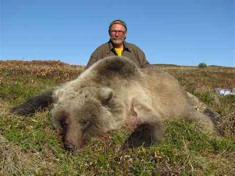 Grizzly Bear Hunting - Alaska