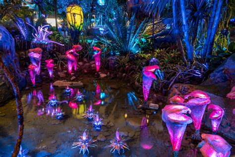 Pandora: The World of Avatar at night at Disney World’s Animal Kingdom ...