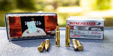 17 HMR vs 22 WMR - Rimfire Caliber Comparison