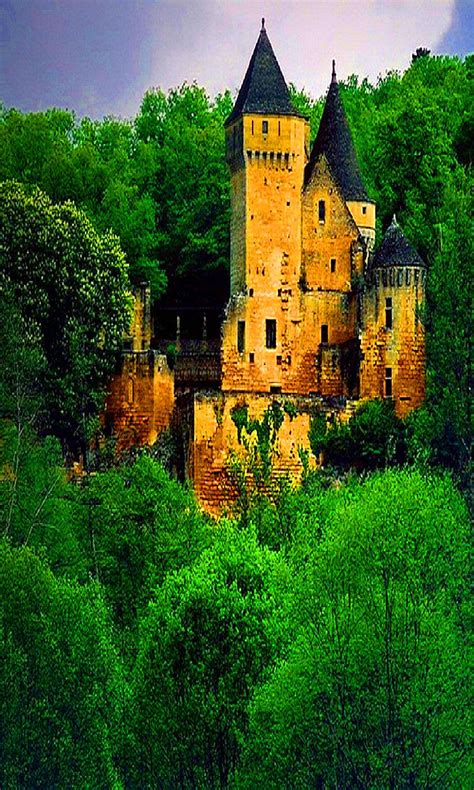 Medieval Castle in Dordogne, France | Medieval castle, French castles ...