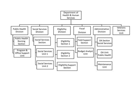 Department Of Health Care Services Org Chart