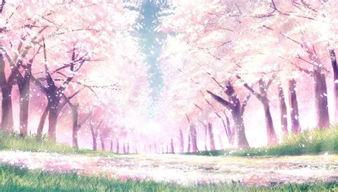 Anime Blossom Wallpapers - Top Free Anime Blossom Backgrounds ...