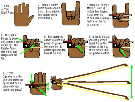 Mr. Bunny bow hold | Violin lessons, Cello lessons, Violin teaching