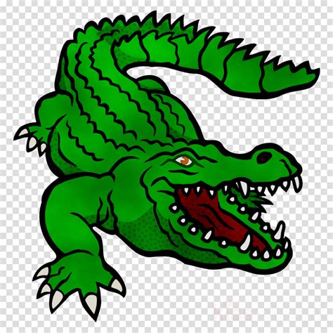 Clipart alligator name, Clipart alligator name Transparent FREE for ...