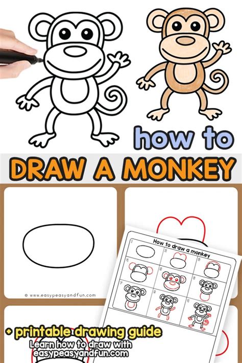 How To Draw A Monkey Step By Step at Drawing Tutorials