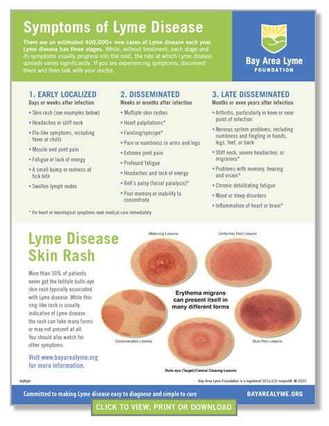 Symptoms webpage image_R2 - Bay Area Lyme Foundation