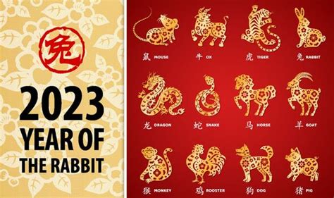 Chinese New Year: What zodiac animal am I and what does it mean for ...