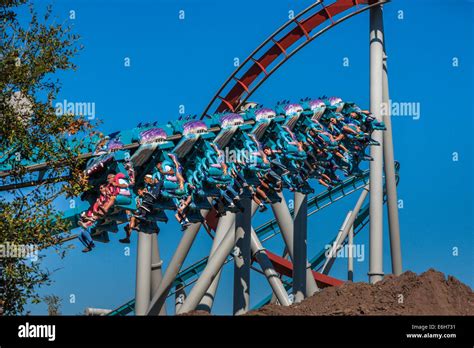 Theme park guests riding Dragon Challenge roller coaster in Wizarding ...