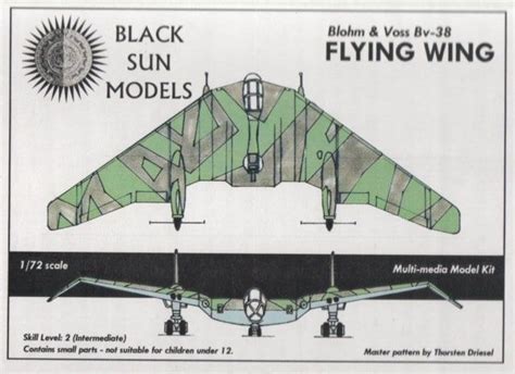 Image result for bv 38 flying wing | Flying wing, Aircraft design ...