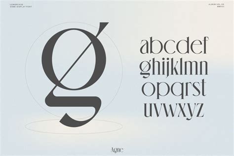 Agne - Display Font on Behance | Typography branding, Elegant serif ...