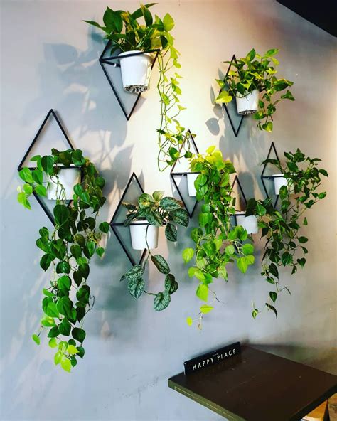 11 creative ways to display indoor plants | Indoor plant wall, Wall ...