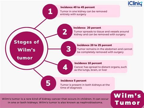 Understanding The Diagnosis And Treatment Of Wilms’ Tumor - Ask The ...