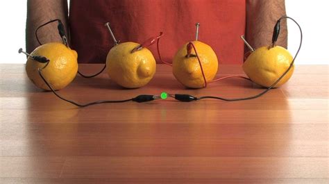 How to Make a Lemon Battery | Science Project Ideas