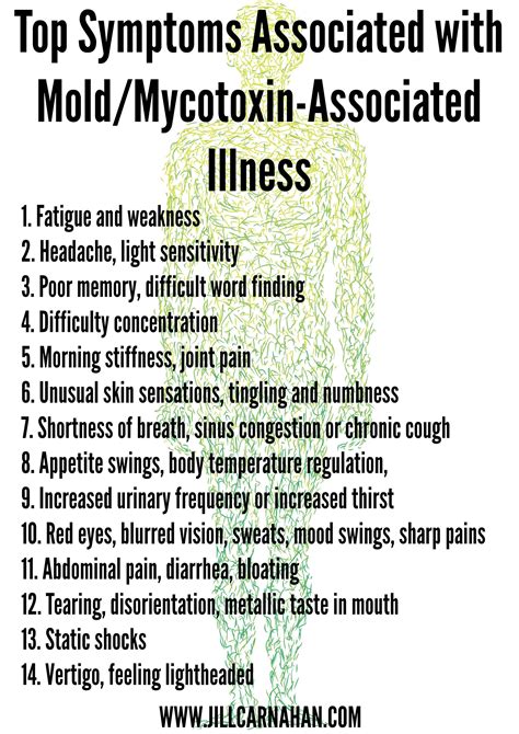 Is Toxic Mold Exposure the Cause of Your Symptoms? | Toxic Mold and ...