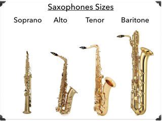 Saxophones 101: The Ultimate Musician's Guide 🎷