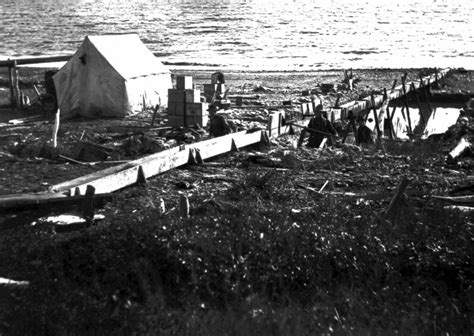 Looking Back: The 1900 Nome Gold Rush - Alaska Historical Society