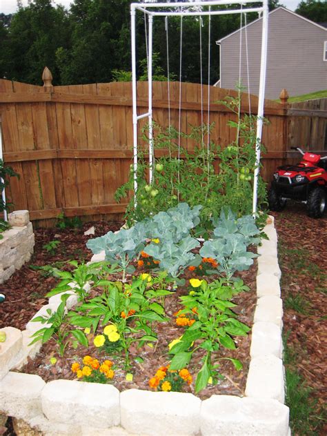 Square Foot Gardening in Georgia - Wholesteading.com