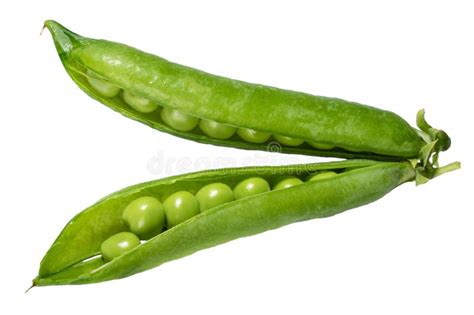 Peas In A Green Pod Isolated Stock Photo - Image of agriculture ...