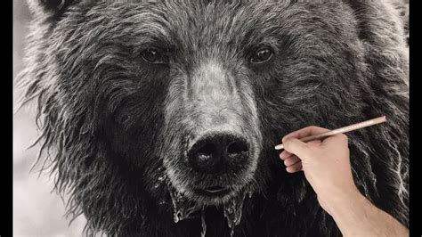 Hyperrealistic Bear Drawing / 90+ Hour Time-lapse | Bear drawing, Bear ...