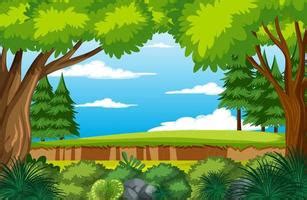 Animated Forest Clipart