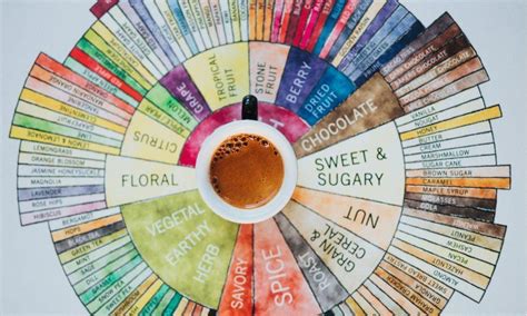 Is it time to reinvent the Coffee Taster’s Flavour Wheel?