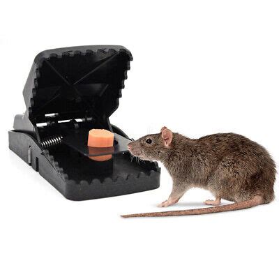 Jaw Lethal Mouse Trap Rodent Rat Killing Snap Catcher Spring Loaded ...