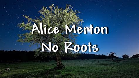 Alice Merton - No Roots - Lyrics - YouTube