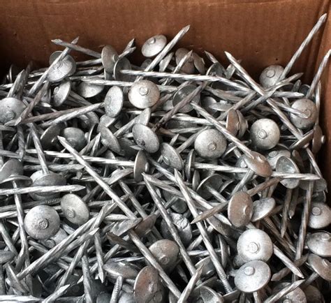 Hot Dipped Galvanized / Electro Galvanized Umbrella Roofing Nails With ...