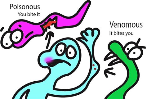 Venomous versus poisonous. Same thing, right? Wrong! - Cabrillo ...