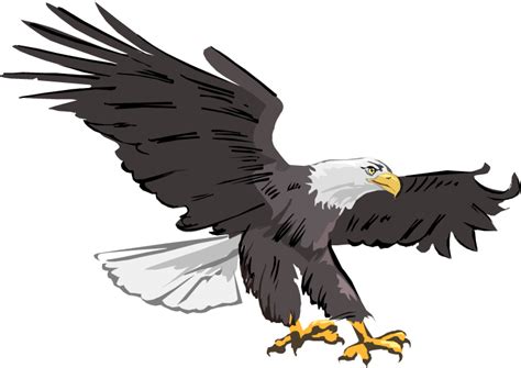 Bald eagle clipart images free – Clipartix