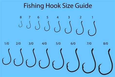 Different Types of Fishing Line Explained - ArelikruwWashington