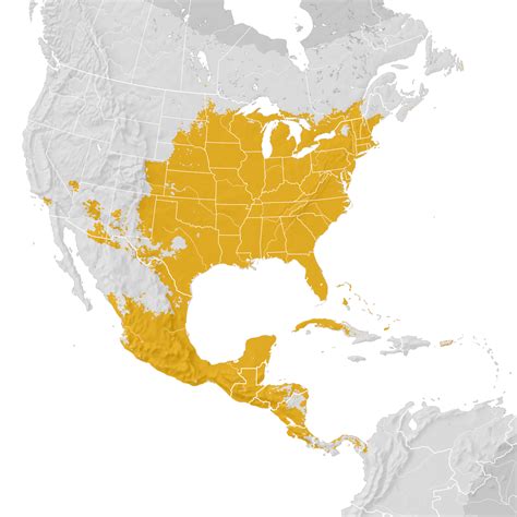 Indigo Bunting - Range map: Post-breeding migration - eBird Status and ...