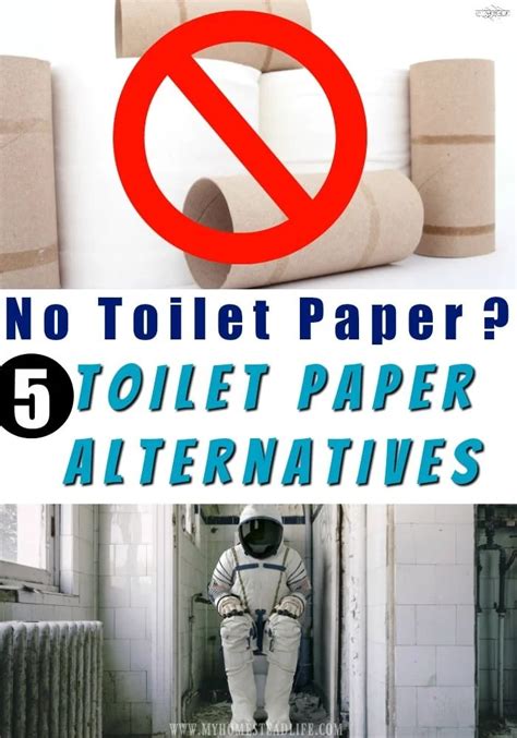 Oh No! There's NO Toilet Paper! 5 Toilet Paper Alternatives - My ...