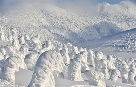 Capturing Snow Monsters in Aomori | All About Japan