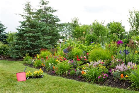 Fountain Grass Landscaping Ideas Backyards - Best Decorations