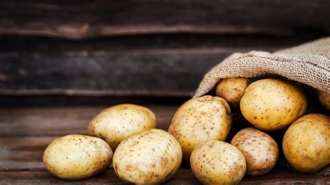 How to identify and treat potato blight: expert tips | Homes & Gardens