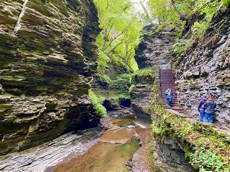 The Watkins Glen Gorge Trail: 19 Different Waterfalls on One Epic Hike ...