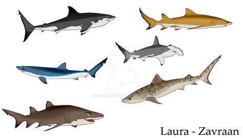 Colored sharks by zavraan on DeviantArt