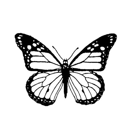 monarch butterfly tattoo black and white - Natashia Hand