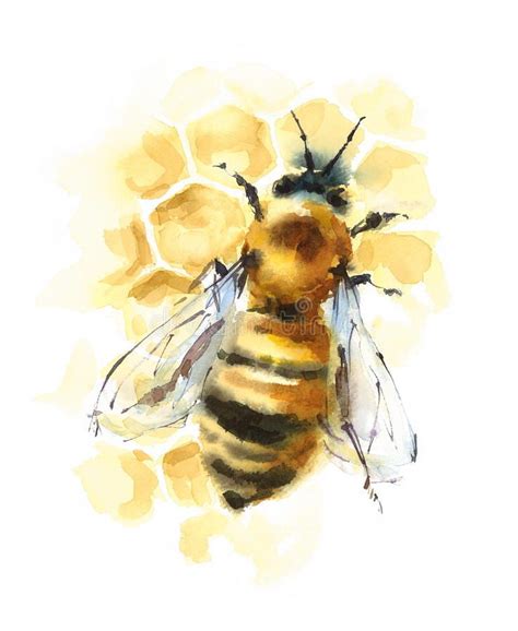 Foto über Übergeben Sie gezogene Aquarellillustration von Honey Bee auf ...